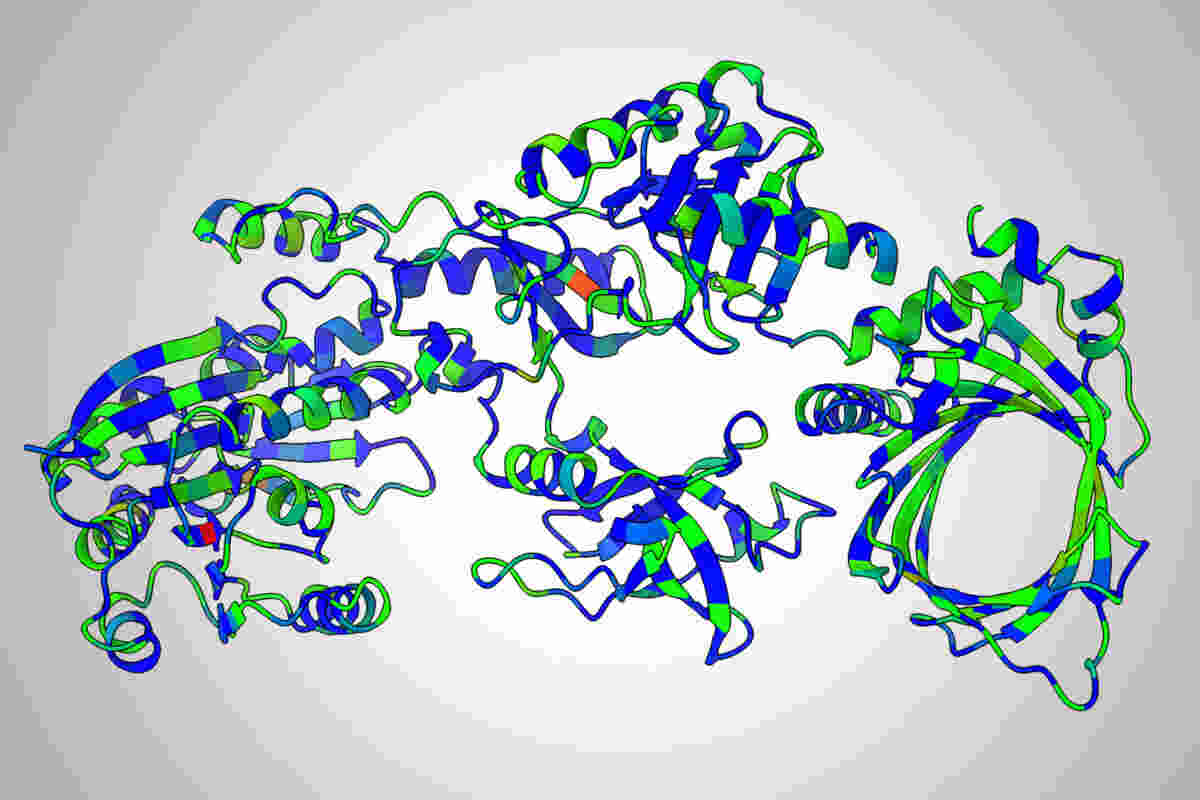 In this example, the model recommends keeping the blue parts the same as the natural version of the protein and strongly considering mutating the red parts. Credit: Danny Diaz/University of Texas at Austin.